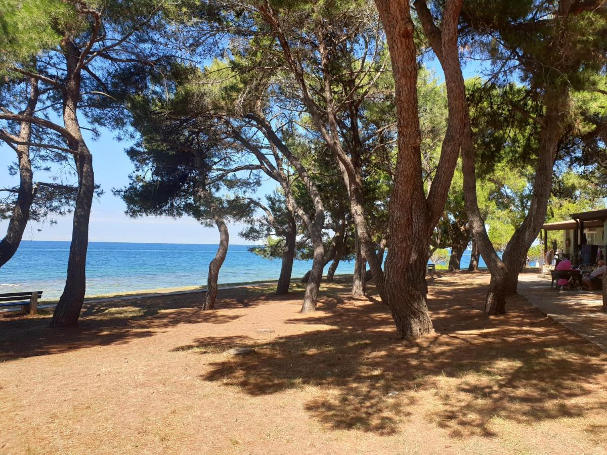 Family Pineta Holiday park Novigrad (Istria)