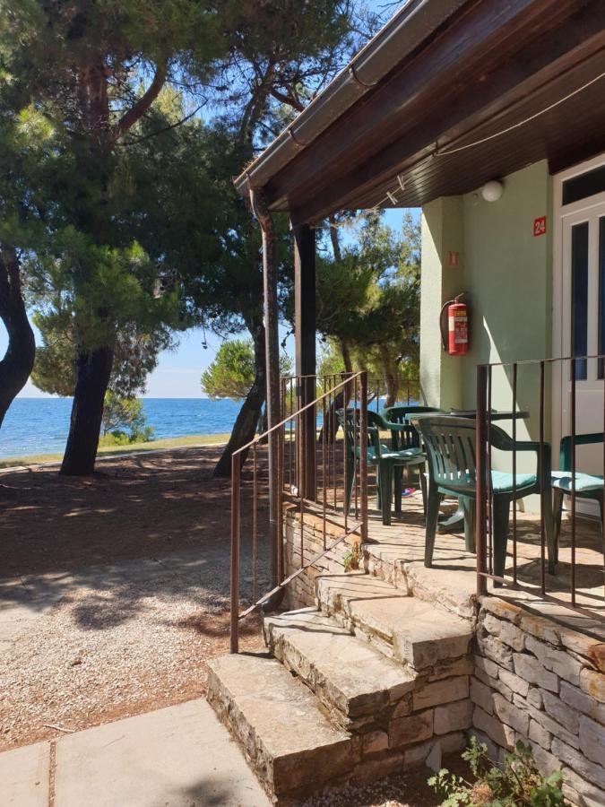 Holiday park Family Pineta