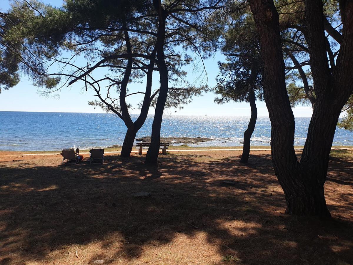 Holiday park Family Pineta Novigrad (Istria)