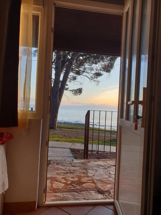 Kompleks wypoczynkowy Family Pineta Novigrad (Istria)