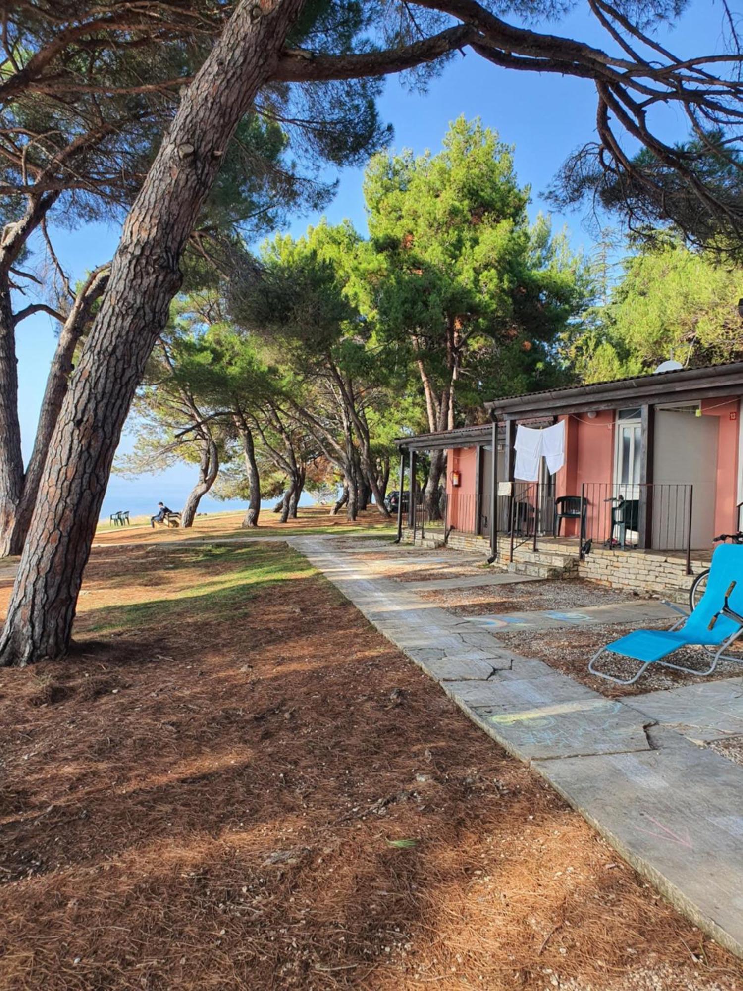 Family Pineta Holiday park Novigrad (Istria)