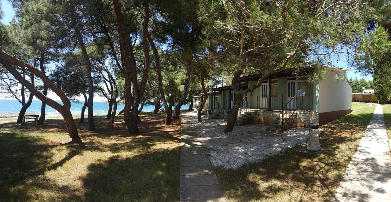 Holiday park Family Pineta