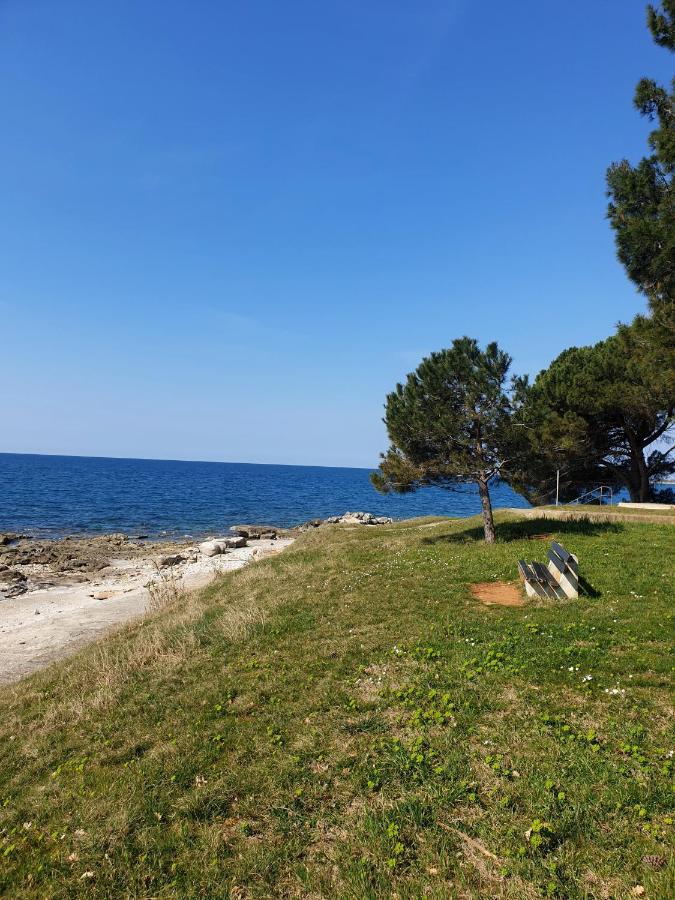 Family Pineta 2* Novigrad (Istria)