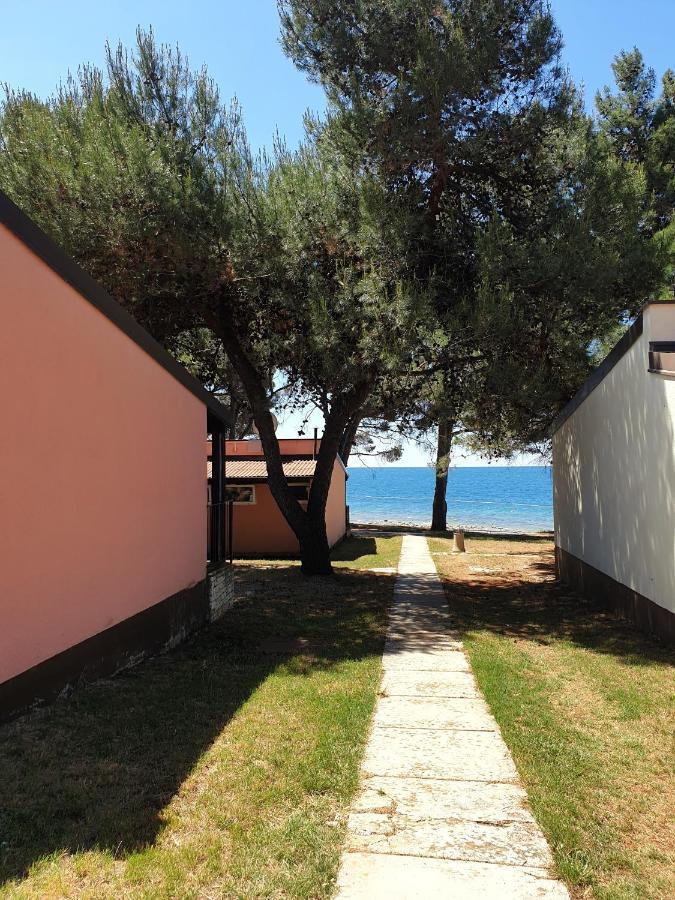 Family Pineta Holiday park Novigrad (Istria)